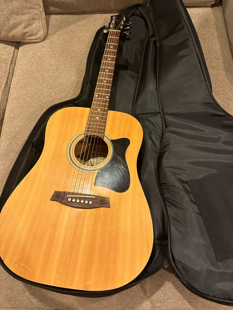 Ibanez V 6 String Acoustic Guitar